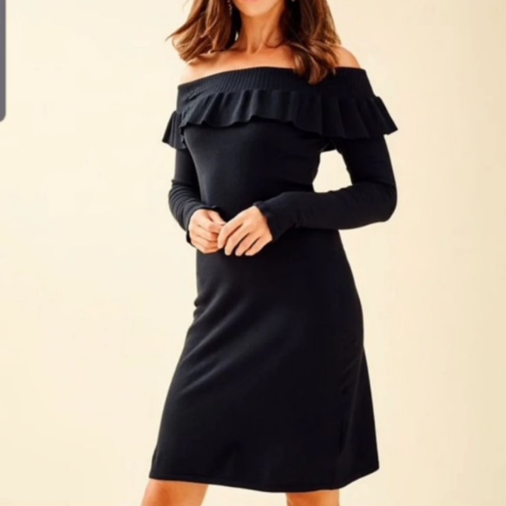 NWT-Lilly Pulitzer-Moda Sweater Dress-S
